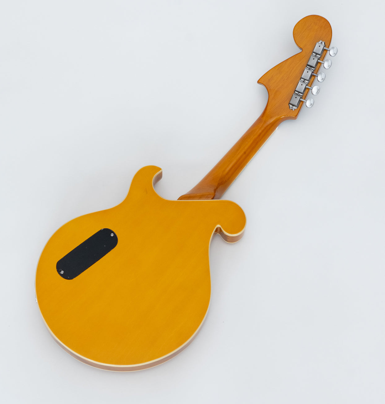 5-string Electric Mandolin (Natural) Model EM-5N